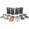 Kibblewhite Lightweight Titanium Racing Valve Spring Kit