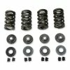 Kibblewhite Lightweight Steel Racing Valve Spring Kit