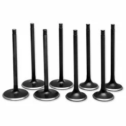 Twin Power Valve Kit