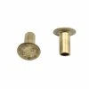 V-Twin Manufacturing Clutch And Brake Brass Rivets