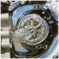 Chrome Dome Polished Feather Points Cover