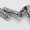Colony Chrome Air Cleaner Screws