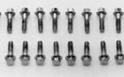 Colony Valve Cover Screws