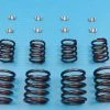 V-Twin Manufacturing Valve Spring Kit