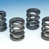 Kibblewhite Valve Spring Set
