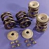 Sifton Valve Spring Set