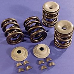 Sifton Valve Spring Set
