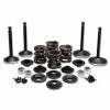 Twin Power Complete Valve & Spring Kit