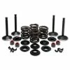 Twin Power Complete Valve & Spring Kit