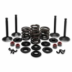 Twin Power Complete Valve & Spring Kit