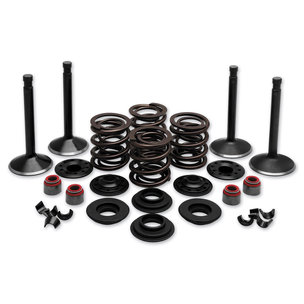 Twin Power Complete Valve & Spring Kit