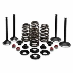 Twin Power Complete Valve & Spring Kit