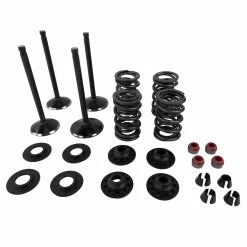 Twin Power Complete Valve & Spring Kit