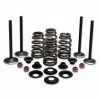 Twin Power Complete Valve & Spring Kit
