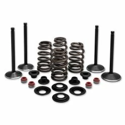 Twin Power Complete Valve & Spring Kit