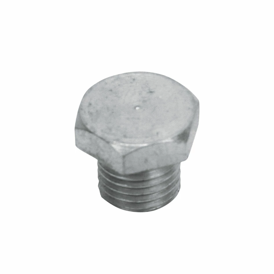 Colony Motor Case Drain Plug (Parkerized)